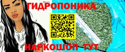 гидропоника Гай