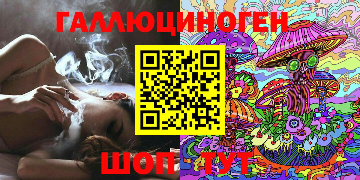 Арсеньев  что такое   Вход с VPN  Галлюциногенные грибы Psilocybe 